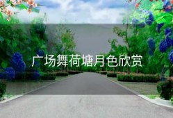 广场舞荷塘月色欣赏