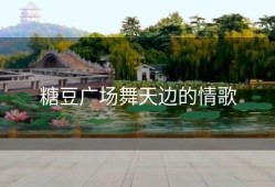糖豆广场舞天边的情歌