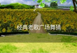 经典老歌广场舞猜