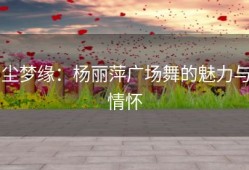 尘梦缘：杨丽萍广场舞的魅力与情怀