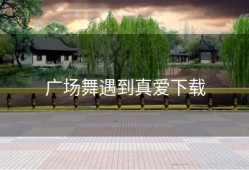 广场舞遇到真爱下载