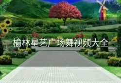 榆林星艺广场舞视频大全