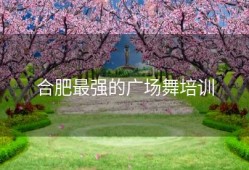 合肥最强的广场舞培训