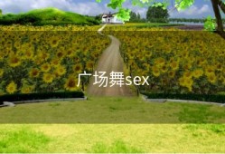 广场舞sex