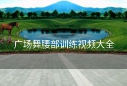 广场舞腰部训练视频大全