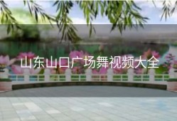 山东山口广场舞视频大全