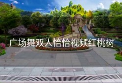 广场舞双人恰恰视频红桃树