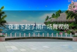 夜里下起了雨广场舞视频