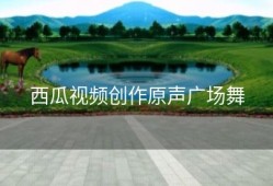 西瓜视频创作原声广场舞