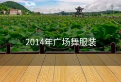 2014年广场舞服装