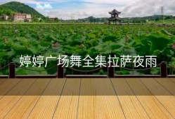 婷婷广场舞全集拉萨夜雨