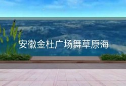 安徽金杜广场舞草原海