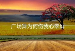 广场舞为何伤我心翠屏