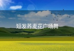 短发荞麦花广场舞