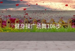 健身操广场舞108步