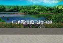 广场舞情歌飞扬湘湘