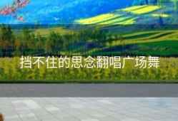 挡不住的思念翻唱广场舞