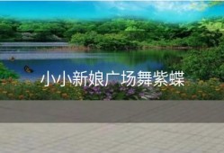 小小新娘广场舞紫蝶