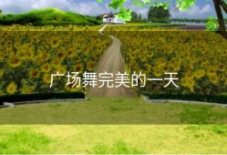 广场舞完美的一天
