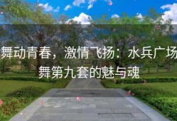 舞动青春，激情飞扬：水兵广场舞第九套的魅与魂