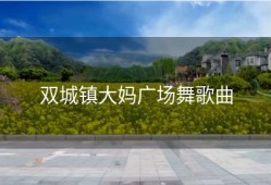 双城镇大妈广场舞歌曲