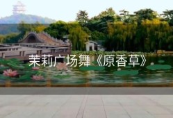 茉莉广场舞《原香草》