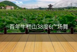 百年牛栏山38度6广场舞