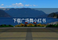 下载广场舞小红书