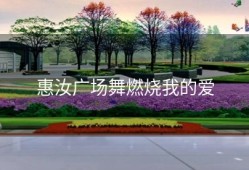惠汝广场舞燃烧我的爱