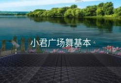 小君广场舞基本