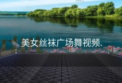 美女丝袜广场舞视频.