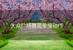 大众广场舞简单慢动作