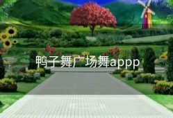 鸭子舞广场舞appp