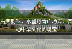 古典韵味，水墨丹青广场舞：舞动中华文化的瑰宝