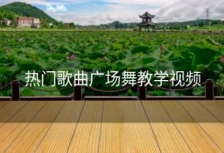热门歌曲广场舞教学视频