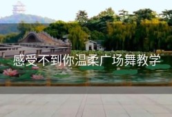感受不到你温柔广场舞教学