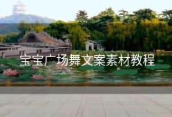 宝宝广场舞文案素材教程