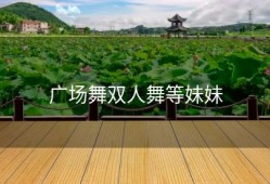 广场舞双人舞等妹妹