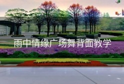 雨中情缘广场舞背面教学