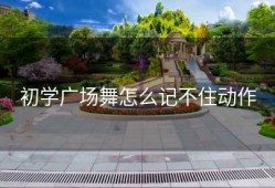 初学广场舞怎么记不住动作