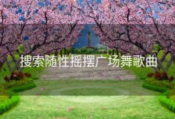 搜索随性摇摆广场舞歌曲
