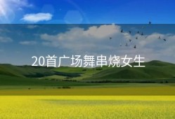 20首广场舞串烧女生