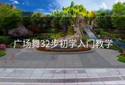 广场舞32步初学入门教学