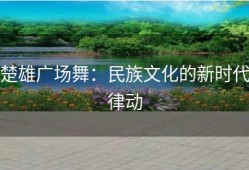 楚雄广场舞：民族文化的新时代律动
