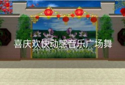 喜庆欢快动感音乐广场舞