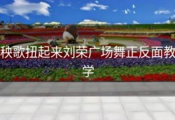 秧歌扭起来刘荣广场舞正反面教学
