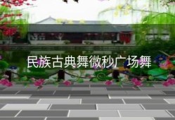 民族古典舞微秒广场舞