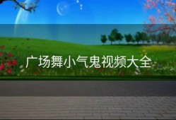 广场舞小气鬼视频大全