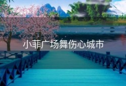 小菲广场舞伤心城市