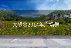 太想念2014年广场舞